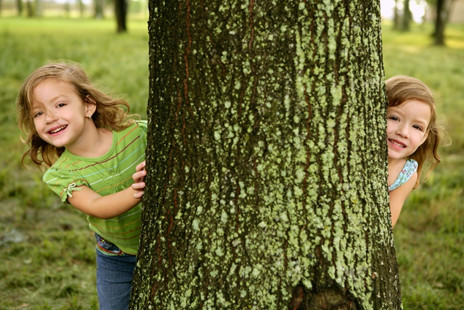 Girls and Tree